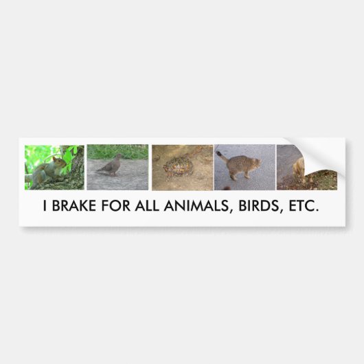 Bumpersticker (Voorkant)