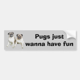 Bumpersticker