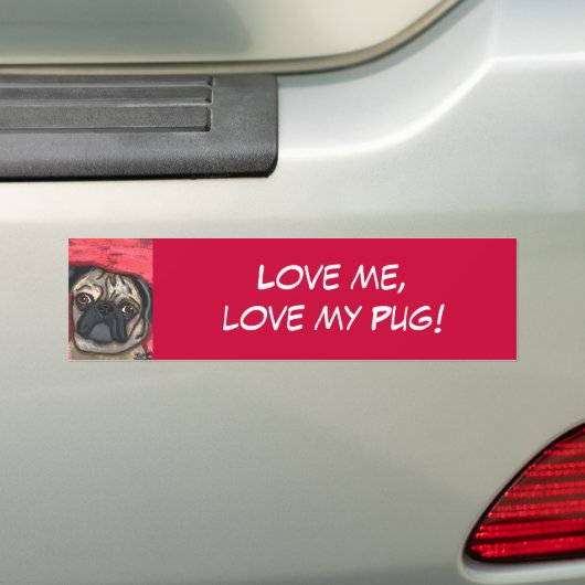 Bumpersticker (Op auto)