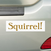 Bumpersticker (Op auto)