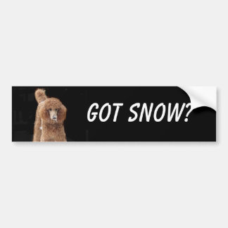Bumpersticker