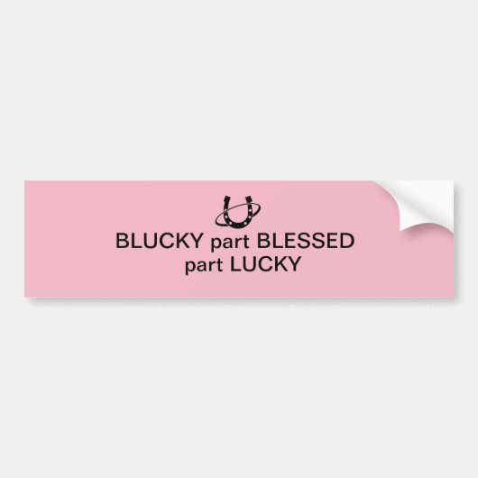 Bumpersticker (Voorkant)