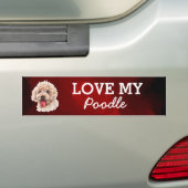 Bumpersticker (Op auto)