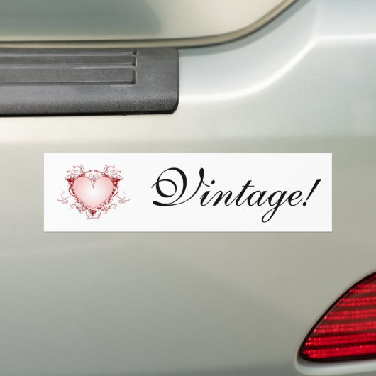 bumpersticker (Op auto)