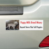 Bumpersticker (Op auto)