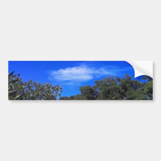 Bumpersticker (Voorkant)