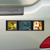Bumpersticker 2 (Op auto)