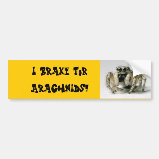 Bumpersticker Arachnid (Voorkant)