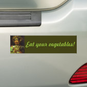 Bumpersticker: Arcimboldo Vertumnus Bumpersticker (Op auto)