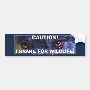 BUMPERSTICKER COLLECTIE DIERVEILIGHEID