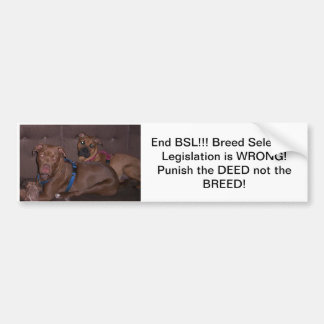 Bumpersticker end BSL