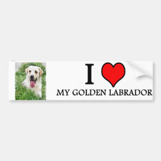 bumpersticker GOLDEN LABRADOR