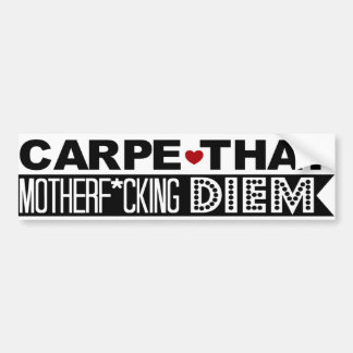 BUMPERSTICKER: Grijp Die V*ttige Dag! Bumpersticker