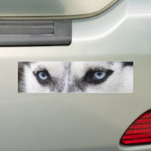 Bumpersticker HUSKY (Op auto)