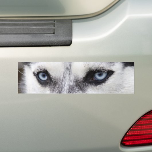Bumpersticker HUSKY (Op auto)