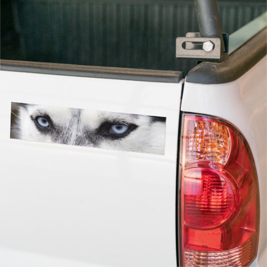 Bumpersticker HUSKY (Op Truck)