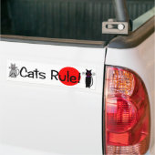 Bumpersticker "Kattenregel" (Op Truck)