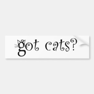 Bumpersticker met katten