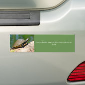 Bumpersticker met trage bewegende schildpad (Op auto)