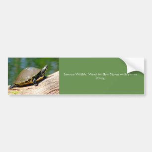 Bumpersticker met trage bewegende schildpad