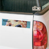 Bumpersticker Pet Portrait niet kopen (Op Truck)