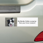 Bumpersticker rand (Op auto)