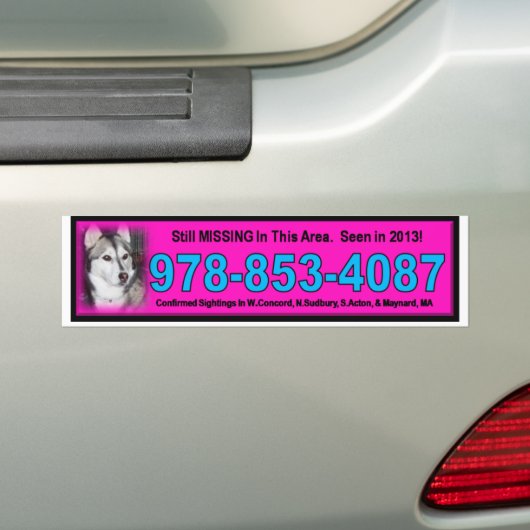 bumpersticker roze (Op auto)