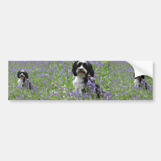 Bumpersticker Tibetan Terrier (Voorkant)