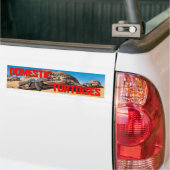 Bumpersticker van binnenlandse schildpadden (Op Truck)