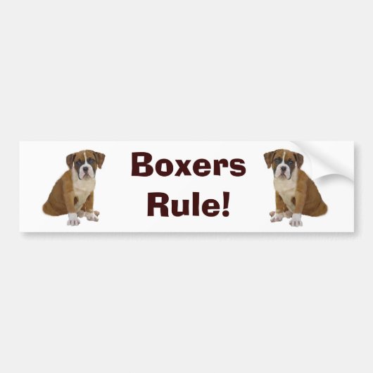 Bumpersticker van de Boxers-regel (Voorkant)