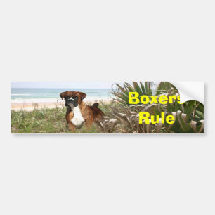 Bumpersticker van de Boxers-regel