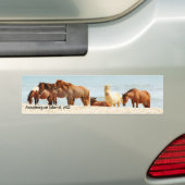 Bumpersticker van het eiland Assateague (Op auto)