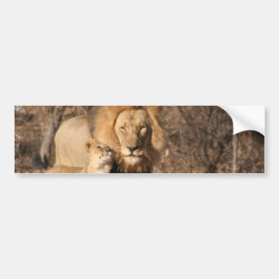 Bumpersticker van leder en lion Cub