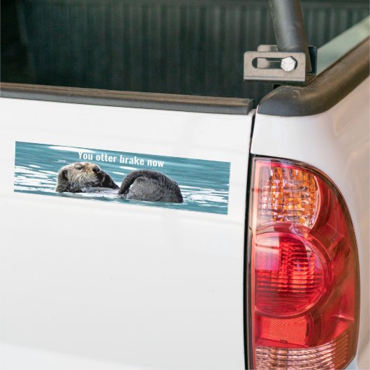 Bumpersticker van otter (Op Truck)
