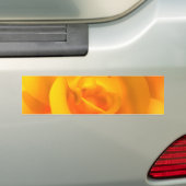 Bumpersticker van Roos (Op auto)