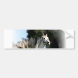 Bumpersticker van witte paarden