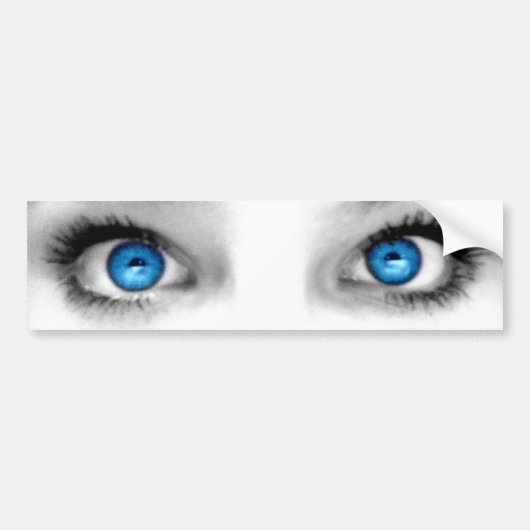 Bumpersticker voor stearing (Voorkant)