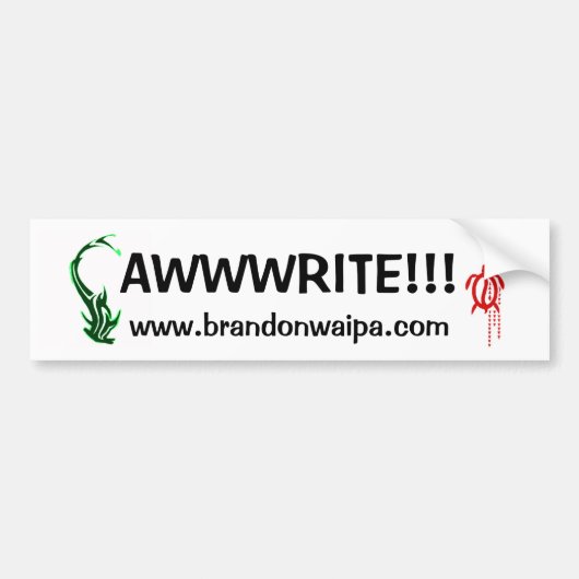Bumpersticker - WEBSITE - SCHRIJVEN!!! (Voorkant)
