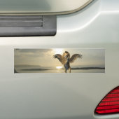 Bumperstickers met gevleugelde haren (Op auto)