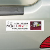 Bumpre Sticker (Op auto)
