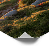 Bumpy Path Poster (Hoek)