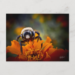 Bunble Bee Briefkaart