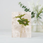 Bunch Berry - Carte postale Dogwood sauvage (Debout devant)