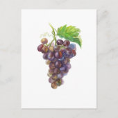 Bunch of Grapes Fruit Waterverf Painting Briefkaart (Voorkant)