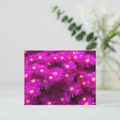 Bunch of Pink Aster Flowers Briefkaart (Staand voorkant)