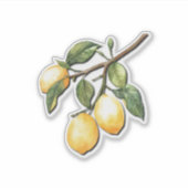 Bunch van gele citroen op een stengel sticker (Voorkant)