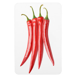 Bunch van Spaanse peper Magneet