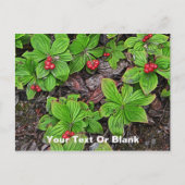 Bunchberry met bessen briefkaart (Voorkant)