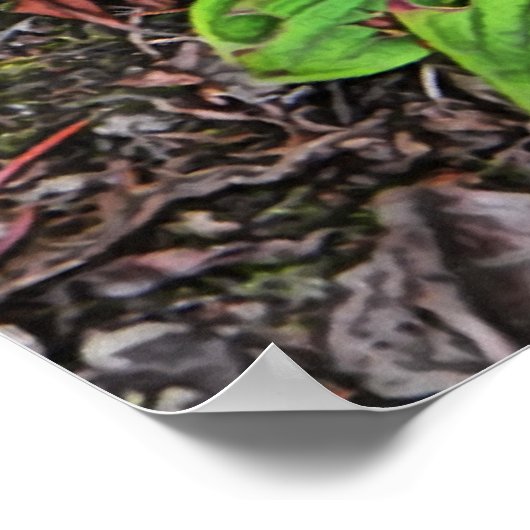 Bunchberry met bessen poster (Hoek)