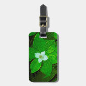 Bunchberry White Wildflower Bagagelabel (Voorkant verticaal)